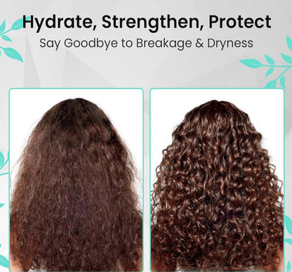 Deep Moisture Conditioner - For Wavy, Curly, Coily & Kinky Hair
